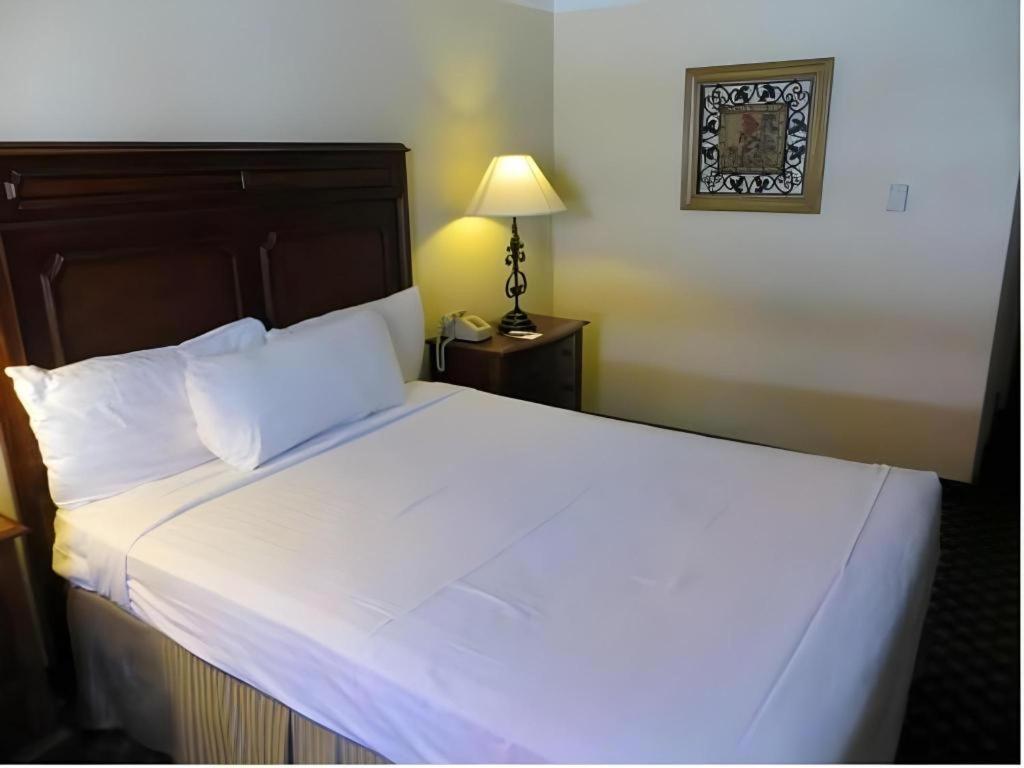 El Cortez Hotel & Casino - 21 And Over Only (Adults Only) Las Vegas Luaran gambar